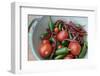 Canada, British Columbia, Cowichan Valley. Tomatoes and Hot Peppers in a Colander-Kevin Oke-Framed Photographic Print