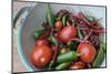 Canada, British Columbia, Cowichan Valley. Tomatoes and Hot Peppers in a Colander-Kevin Oke-Mounted Photographic Print