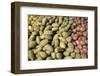 Canada, British Columbia, Cowichan Valley. Yellow and Red Potatoes for Sale at a Market-Kevin Oke-Framed Photographic Print