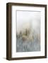 Canada, British Columbia. Early morning fog in a mixed tree forest, Wells Gray Provincial Park.-Judith Zimmerman-Framed Photographic Print