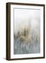 Canada, British Columbia. Early morning fog in a mixed tree forest, Wells Gray Provincial Park.-Judith Zimmerman-Framed Photographic Print