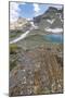 Canada, British Columbia, East Kootenay Mountains. Jewel Lakes and lichen on limestone.-Jaynes Gallery-Mounted Photographic Print