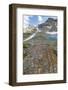 Canada, British Columbia, East Kootenay Mountains. Jewel Lakes and lichen on limestone.-Jaynes Gallery-Framed Photographic Print