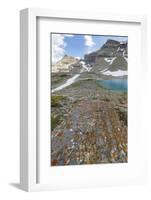Canada, British Columbia, East Kootenay Mountains. Jewel Lakes and lichen on limestone.-Jaynes Gallery-Framed Photographic Print