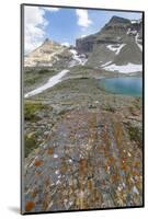 Canada, British Columbia, East Kootenay Mountains. Jewel Lakes and lichen on limestone.-Jaynes Gallery-Mounted Photographic Print