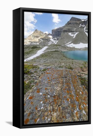 Canada, British Columbia, East Kootenay Mountains. Jewel Lakes and lichen on limestone.-Jaynes Gallery-Framed Stretched Canvas