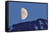 Canada, British Columbia. Half moon rising above mountain.-Jaynes Gallery-Framed Stretched Canvas