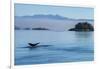 Canada, British Columbia. Humpback whale's tale as it dives, Johnstone Strait.-Brenda Tharp-Framed Photographic Print