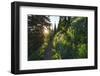 Canada, British Columbia, Idaho Peak. Female hiker and wildflowers. (MR)-Yuri Choufour-Framed Photographic Print