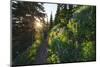 Canada, British Columbia, Idaho Peak. Female hiker and wildflowers. (MR)-Yuri Choufour-Mounted Photographic Print