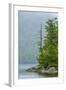 Canada, British Columbia. Inside Passage Scenic-Jaynes Gallery-Framed Photographic Print