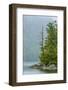 Canada, British Columbia. Inside Passage Scenic-Jaynes Gallery-Framed Photographic Print