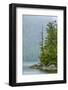 Canada, British Columbia. Inside Passage Scenic-Jaynes Gallery-Framed Photographic Print