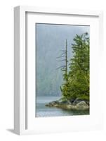 Canada, British Columbia. Inside Passage Scenic-Jaynes Gallery-Framed Photographic Print