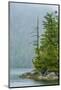 Canada, British Columbia. Inside Passage Scenic-Jaynes Gallery-Mounted Photographic Print