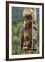 Canada, British Columbia, Kispiox. Detail of totem pole.-Jaynes Gallery-Framed Premium Photographic Print