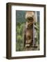 Canada, British Columbia, Kispiox. Detail of totem pole.-Jaynes Gallery-Framed Photographic Print