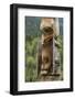 Canada, British Columbia, Kispiox. Detail of totem pole.-Jaynes Gallery-Framed Photographic Print