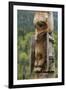 Canada, British Columbia, Kispiox. Detail of totem pole.-Jaynes Gallery-Framed Photographic Print