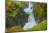 Canada, British Columbia, Little Qualicum Falls Provincial Park. Waterfalls on Little Qualicum Rive-Jaynes Gallery-Mounted Photographic Print