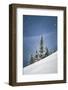 Canada, British Columbia. Lone tree on alpine slope in winter snow.-Yuri Choufour-Framed Photographic Print