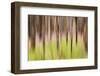 Canada, British Columbia. Motion Blur of Grass and Trees-Don Paulson-Framed Photographic Print