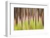 Canada, British Columbia. Motion Blur of Grass and Trees-Don Paulson-Framed Photographic Print