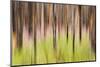 Canada, British Columbia. Motion Blur of Grass and Trees-Don Paulson-Mounted Photographic Print