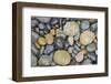 Canada, British Columbia, Naikoon Provincial Park. Rocks on Agate Beach.-Jaynes Gallery-Framed Photographic Print