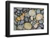 Canada, British Columbia, Naikoon Provincial Park. Rocks on Agate Beach.-Jaynes Gallery-Framed Photographic Print