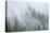 Canada, British Columbia, Nancy Green Provincial Park. Mountain forest in fog and rain.-Jaynes Gallery-Stretched Canvas