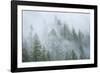 Canada, British Columbia, Nancy Green Provincial Park. Mountain forest in fog and rain.-Jaynes Gallery-Framed Photographic Print