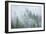 Canada, British Columbia, Nancy Green Provincial Park. Mountain forest in fog and rain.-Jaynes Gallery-Framed Photographic Print
