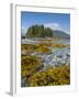 Canada, British Columbia, Pacific Rim National Park. Broken Islands Marine Park, kelp-Merrill Images-Framed Photographic Print