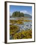 Canada, British Columbia, Pacific Rim National Park. Broken Islands Marine Park, kelp-Merrill Images-Framed Photographic Print