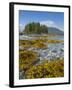 Canada, British Columbia, Pacific Rim National Park. Broken Islands Marine Park, kelp-Merrill Images-Framed Photographic Print