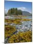 Canada, British Columbia, Pacific Rim National Park. Broken Islands Marine Park, kelp-Merrill Images-Mounted Photographic Print