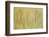 Canada, British Columbia, Pacific Rim Sand Patterns on a Beach-Jaynes Gallery-Framed Photographic Print