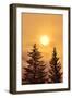 Canada, British Columbia, Prudhomme Lake Provincial Park. Evergreen trees in foggy sunrise.-Jaynes Gallery-Framed Photographic Print
