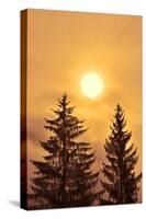 Canada, British Columbia, Prudhomme Lake Provincial Park. Evergreen trees in foggy sunrise.-Jaynes Gallery-Stretched Canvas