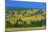 Canada, British Columbia. Rangeland landscape.-Jaynes Gallery-Mounted Photographic Print