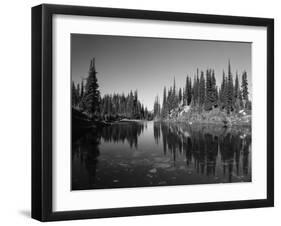 Canada, British Columbia, Revelstoke, Mount Revelstoke National Park-Mike Grandmaison-Framed Photographic Print