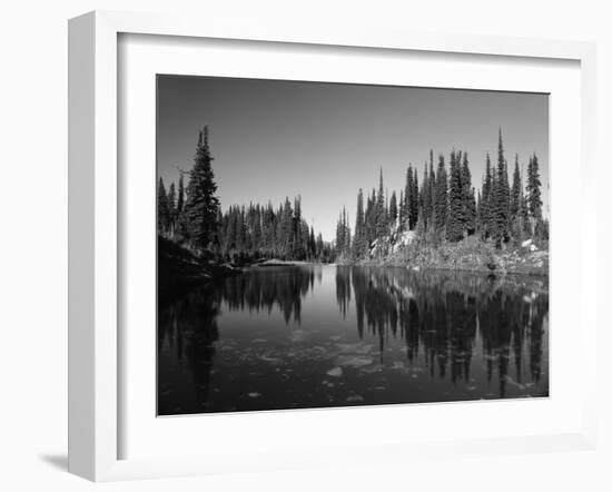 Canada, British Columbia, Revelstoke, Mount Revelstoke National Park-Mike Grandmaison-Framed Photographic Print