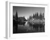 Canada, British Columbia, Revelstoke, Mount Revelstoke National Park-Mike Grandmaison-Framed Photographic Print