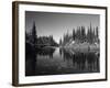 Canada, British Columbia, Revelstoke, Mount Revelstoke National Park-Mike Grandmaison-Framed Photographic Print