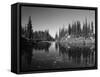 Canada, British Columbia, Revelstoke, Mount Revelstoke National Park-Mike Grandmaison-Framed Stretched Canvas