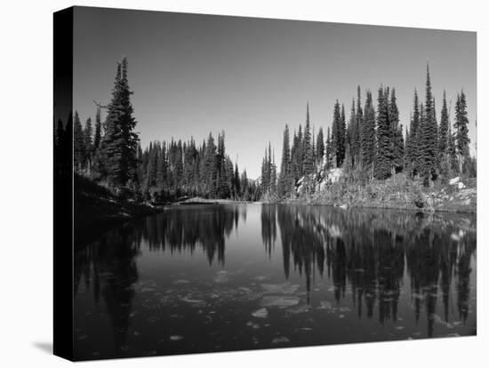 Canada, British Columbia, Revelstoke, Mount Revelstoke National Park-Mike Grandmaison-Stretched Canvas