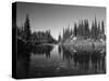 Canada, British Columbia, Revelstoke, Mount Revelstoke National Park-Mike Grandmaison-Stretched Canvas