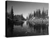 Canada, British Columbia, Revelstoke, Mount Revelstoke National Park-Mike Grandmaison-Stretched Canvas