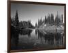 Canada, British Columbia, Revelstoke, Mount Revelstoke National Park-Mike Grandmaison-Framed Photographic Print